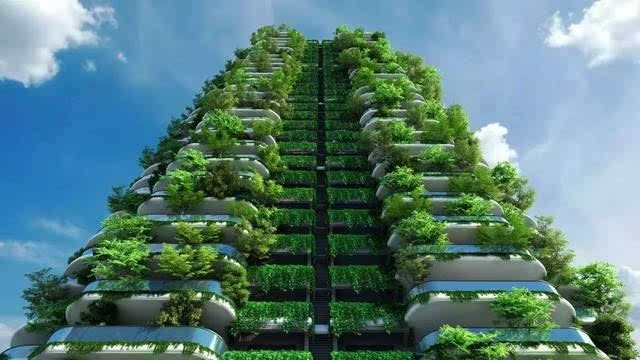 (心中理想森林城市)315报道曝光:人们心中的理想森林被揭秘 (心中理想森林城市)315报道曝光:人们心中的理想森林被揭秘