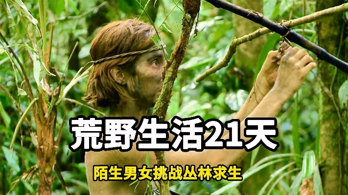 (男女搭档原始森林生存挑战)挑战生存:原始陌生男女一同闯荒野森林21天的惊险故事 (男女搭档原始森林生存挑战)挑战生存:原始陌生男女一同闯荒野森林21天的惊险故事