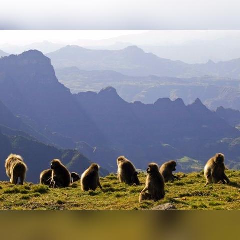 (探索星球 游戏)探索我的星球：2014年手机游戏的奇妙冒险与无限可能