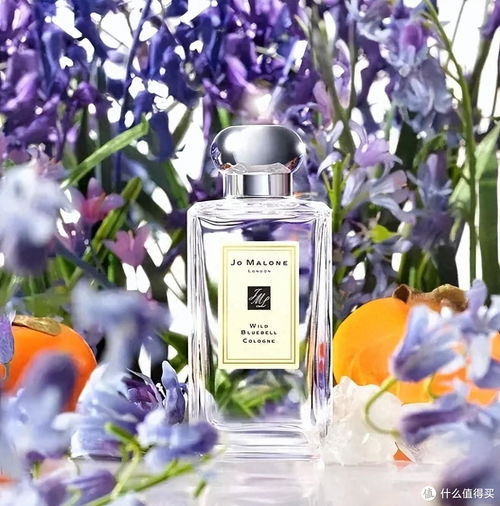 (花香味香水)花香与猫咪的的绝妙融合：探索香水内置菜单的神秘魅力