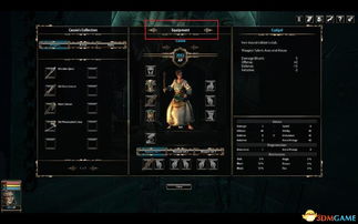 (守卫技能介绍)全面解析守卫队出击辅助菜单：提升游戏体验的必备工具与技巧