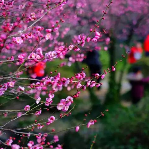 (暖暖无限金币)无限暖暖12月5日几点开服？别错过这场仙境般的奇幻冒险！