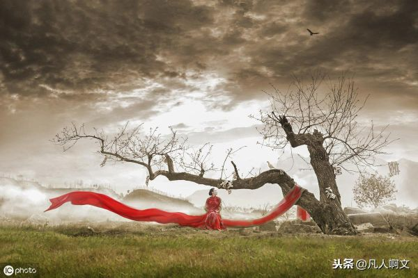 (纷纷红尘扰攘)在纷繁世界中徘徊：探寻红尘幻境的含义与奥秘