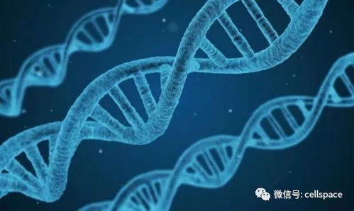 (秒懂百科神秘生物)探寻神秘生物：神秘生物下载安装手机版的全新体验