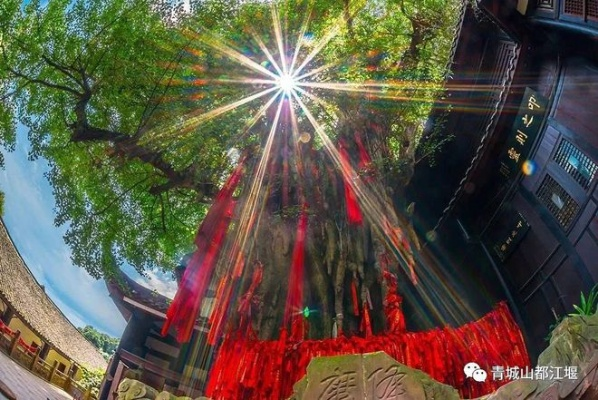 天缘传说仙市，神秘之地，究竟在哪里？传说中的仙市藏匿何处？