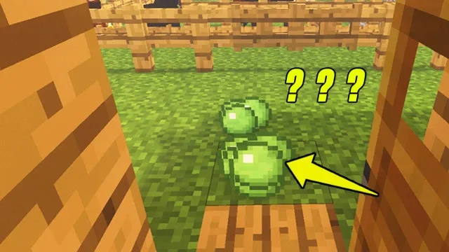 (我的世界怎样获得粘液球)在我的世界中如何获得粘液球? (我的世界怎样获得粘液球)在我的世界中如何获得粘液球?