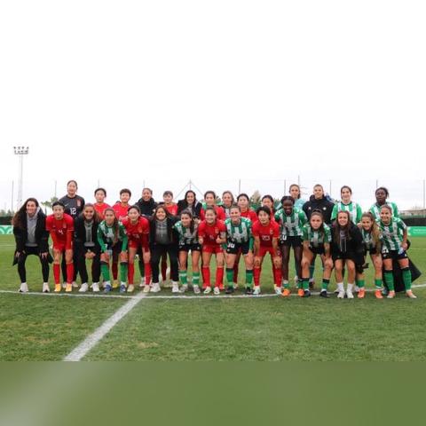 (皇家守卫军 第九关)如何击败皇家守卫军第九关？详细攻略让你一举突破！