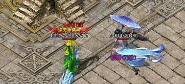 热血寻秦玩家心得分享：从新手到高手的成长历程与游戏技巧总结