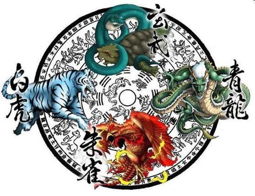 (龙腾雄霸)龙腾霸主: 传统象征与现代解读，探究这一词汇的深层含义