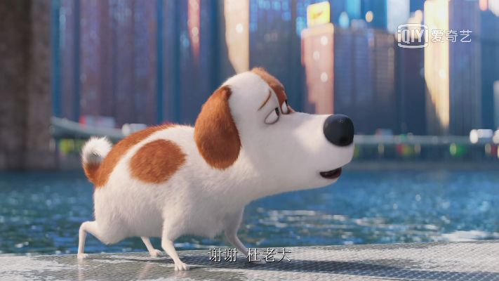 (爱宠大机密1简介)揭秘《爱宠大机密一》:另一面的故事和秘密往事揭露 (爱宠大机密1简介)揭秘《爱宠大机密一》:另一面的故事和秘密往事揭露