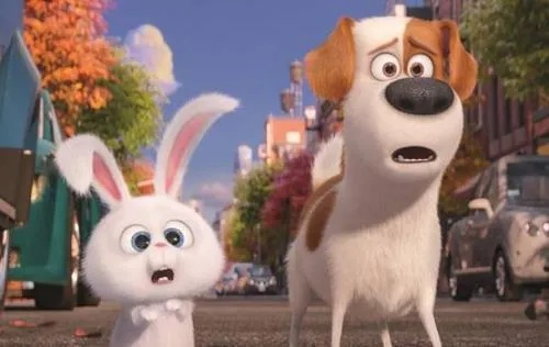 (爱宠大机密1简介)揭秘《爱宠大机密一》：另一面的故事和秘密往事揭露