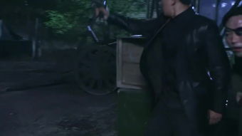 (代号枪手,2)代号枪手：揭开特工世界的神秘面纱，探索背后的阴谋与真相