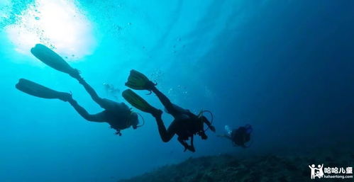 潜水日记400字大全：探秘海底世界，记录海底探险的点点滴滴，与大自然亲密接触。
