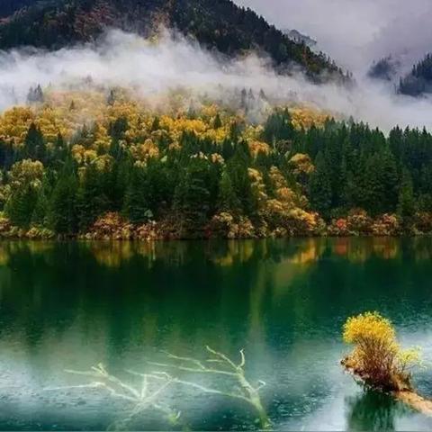 穿越时光，沐浴锦绣山河之美——《锦绣山河电视剧》探寻古今奇缘