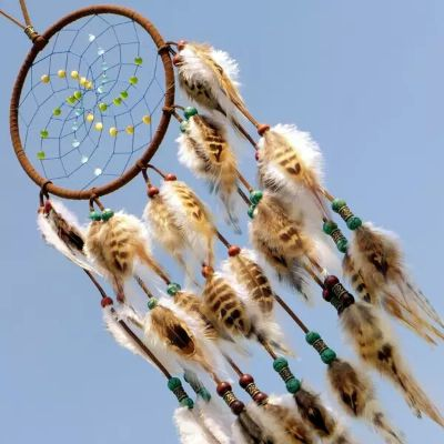 (捕梦网百度百科)捕梦猫毕璞：神秘文化符号的奇幻故事及其传承与发展