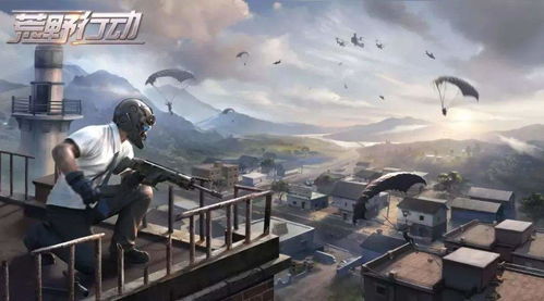 (游戏 荒原)游戏荒原免广告：让你流连其中，不受打扰的极致游戏体验!