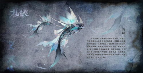 探寻九畿岐风之旅:究竟是一种文化体验还是一次冒险探险之旅? 探寻九畿岐风之旅:究竟是一种文化体验还是一次冒险探险之旅?