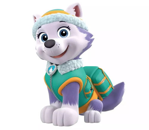 (奇毛党汪汪队)迷人的汪汪队奇毛cp：犬猫快乐组合，萌化你的心