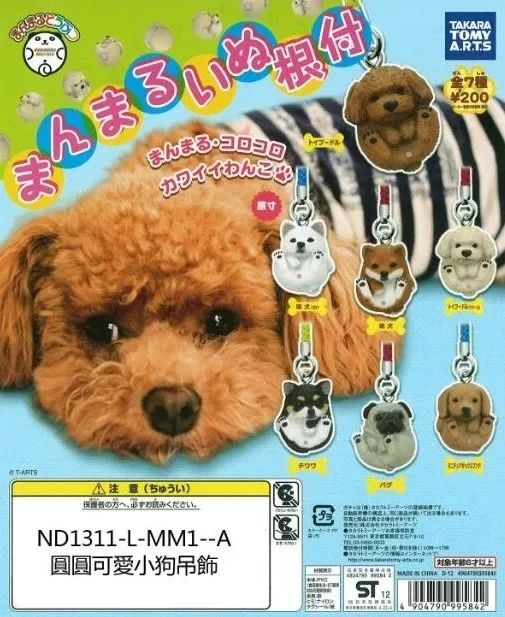 (奇毛党汪汪队)迷人的汪汪队奇毛cp:犬猫快乐组合,萌化你的心 (奇毛党汪汪队)迷人的汪汪队奇毛cp:犬猫快乐组合,萌化你的心