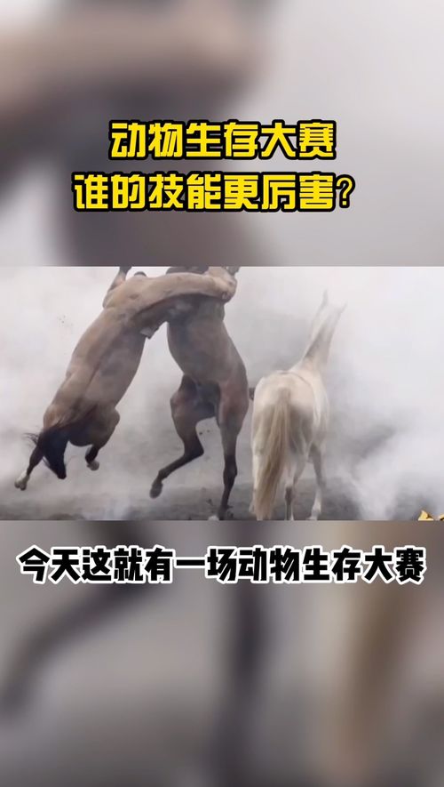 (神奇变身!看人如何变成动物的魔术把戏视频)神奇变身！看人如何变成动物的魔术把戏视频