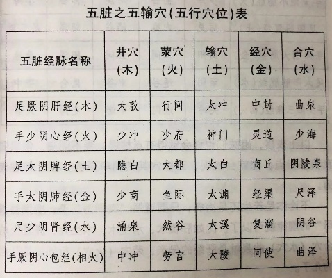 (五行炼气怎么分配点数)探索五行炼气诀：修身养气，启迪心智，窥探身心能量之奥秘