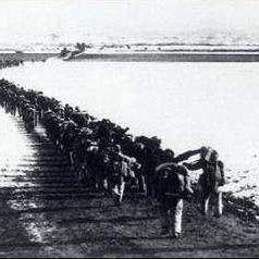 (放放英雄下载)放放英雄吧，勇者永存：英雄们的传奇故事及精彩战绩回顾