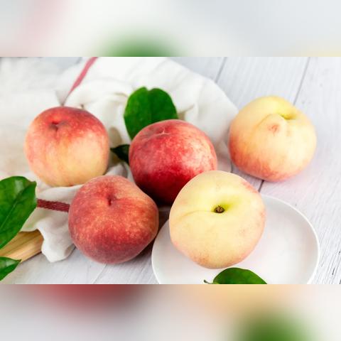 西游360：深入探讨西游记的智慧与文化，探索不朽经典背后的历史与现代意义