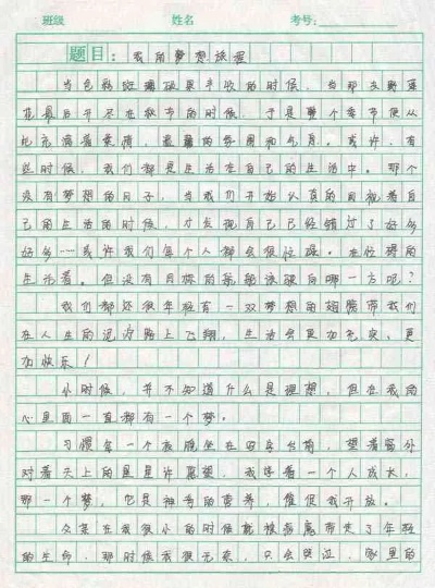 追梦之旅：初中生心中那一抹梦想之光，如何照亮成长路的800字作文探索