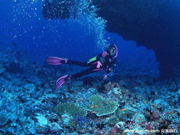 (四年级潜水是什么意思)四年级小学生第一次潜水：一次奇妙的水下冒险之旅