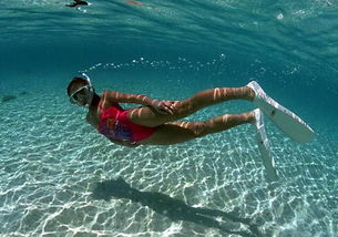 (四年级潜水是什么意思)四年级小学生第一次潜水：一次奇妙的水下冒险之旅