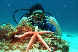 (四年级潜水是什么意思)四年级小学生第一次潜水：一次奇妙的水下冒险之旅