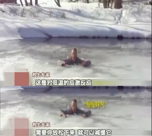 (寒冬的回忆)寒冷的回忆：重温零下记忆旧版的感动时光