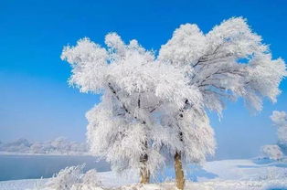 (寒冬的回忆)寒冷的回忆：重温零下记忆旧版的感动时光