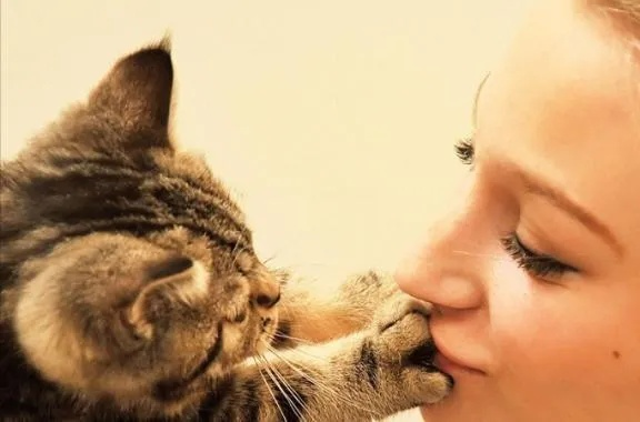 (喜欢嘴对嘴亲猫)「嘴对嘴亲猫咪有坏处吗？专家揭秘嘴对嘴亲猫咪的影响」