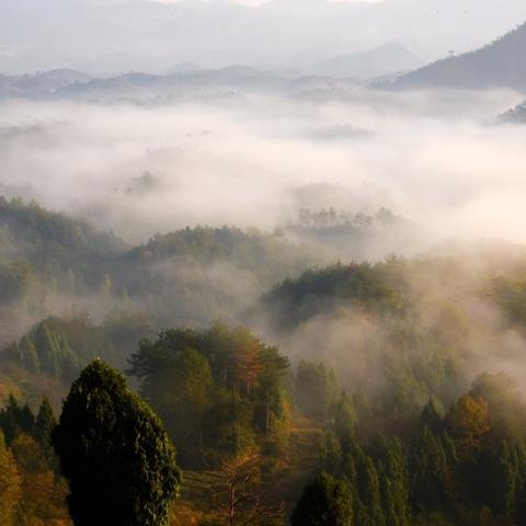 (笑神是什么意思是什么)探索笑神仙酒的独特魅力：浓郁风味与悠久文化的完美结合