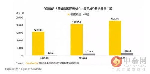 时序残响背后的力量：详细探讨这家公司的发展历程与未来前景