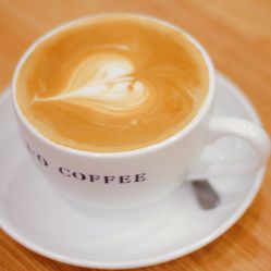 新鲜出炉：猫语咖啡最新版震撼上线，来体验与猫咪对话的魔力吧