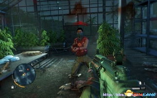 (孤岛诡影攻略图文攻略)孤岛诡影流程攻略图文：探索神秘岛屿的秘密与挑战指南