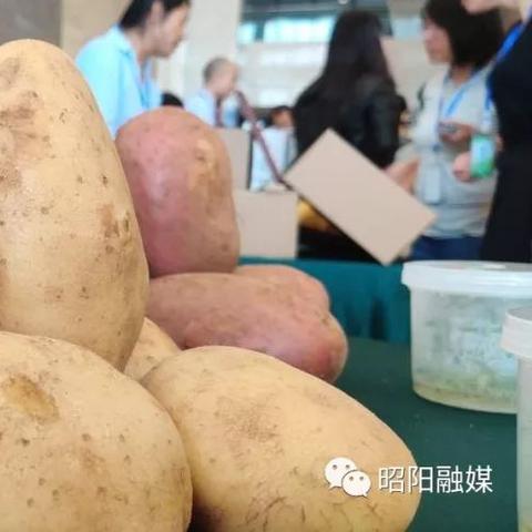 (苹果电脑应用程序无法正常启动)苹果电脑软件无法正常启动，可能的原因与解决方案一览表