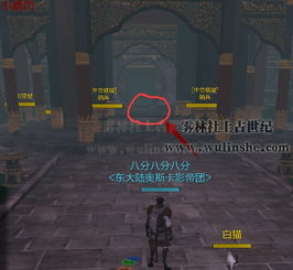 (骨头镇隐藏地图)探秘骨头镇攻略：挑战第十一关，解密隐藏在城镇深处的秘密！