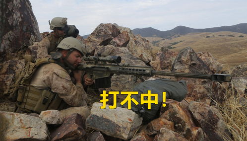 (战略狙击手是什么意思)狙击手和战略狙击手的异同点分析及技能要求 (战略狙击手是什么意思)狙击手和战略狙击手的异同点分析及技能要求