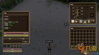 探析游戏更新策略：动物王者为何需要定期更新及如何进行平滑升级