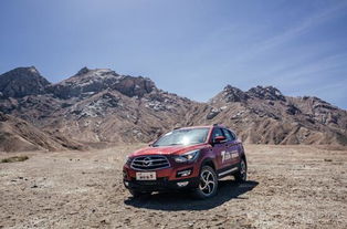 (自由车是什么意思)自由汽车招聘：开放工作环境，实现个人潜力，共筑美好未来！