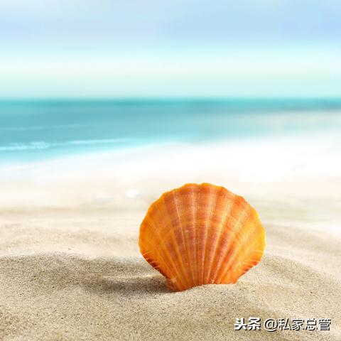 (明月无忧)明月无云手机APP什么时候上线？最新消息和详细发布计划