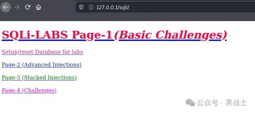 第二十圈技巧分享技巧：从入门到精通，如何提升技能水平