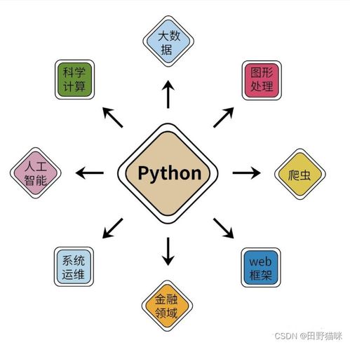第二十圈技巧分享技巧：从入门到精通，如何提升技能水平