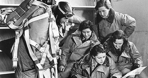 纳粹女子七妹队：恐怖的战争时代女子组织