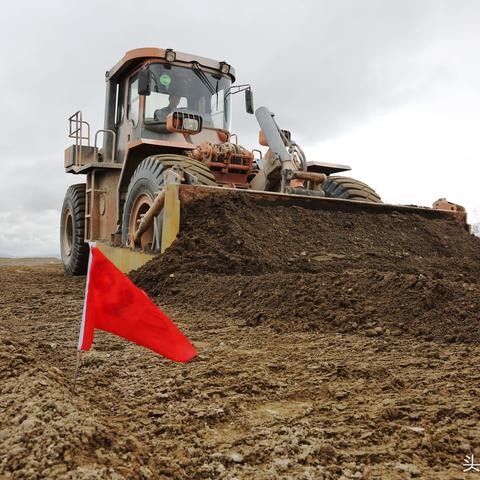 原来我去还有这种操作76，网络新玩法让我大开眼界