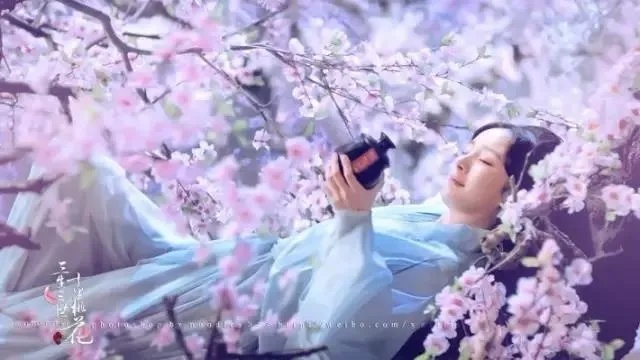 十里桃花待嫁的年华：揭开那首动人心弦的歌曲背后的故事与情感