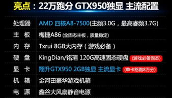 探秘灭鼠先锋游戏规则：从玩法到策略，全面解读灭鼠先锋游戏规则